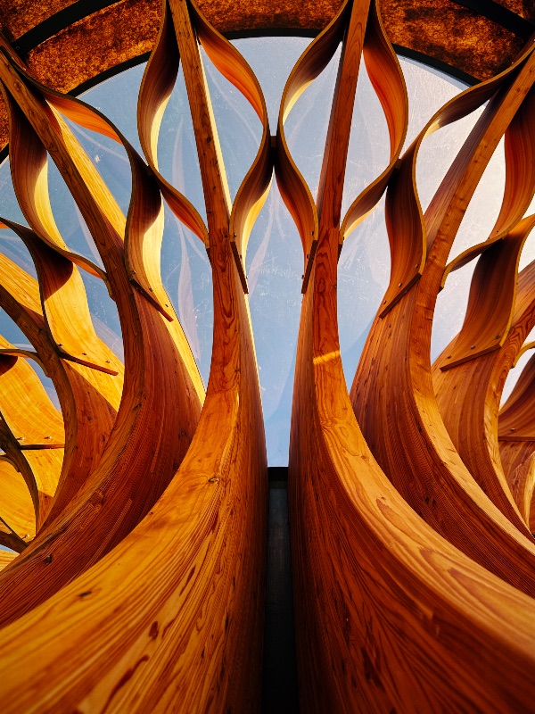 Natural Structure, by Lissy Tomlinson