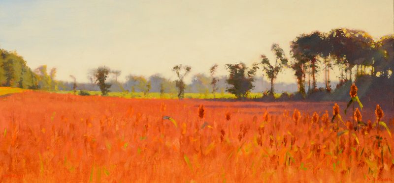 Sorghum, by Paul S Brown